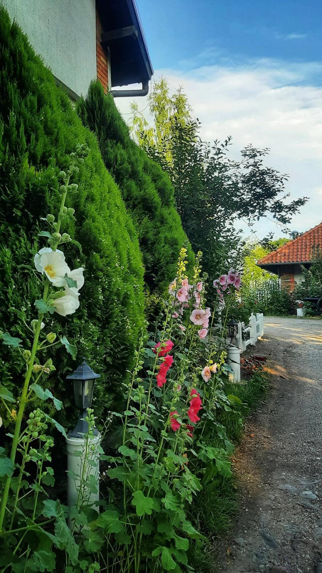 Straznica Komtura Leilighet Mikołajki Eksteriør bilde